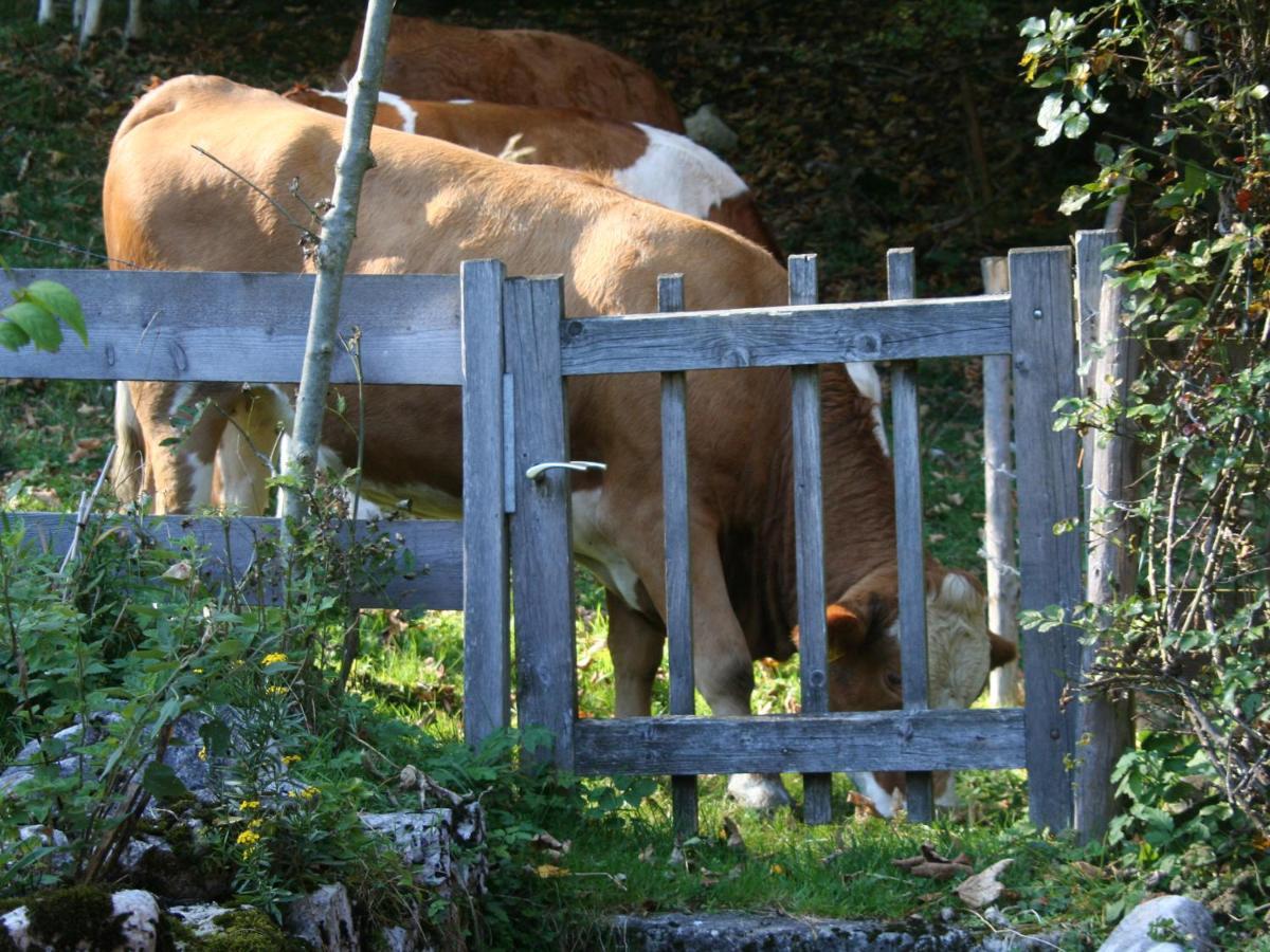 Ferienwohnungen Haus Waldwinkel Aschau im Chiemgau Bagian luar foto